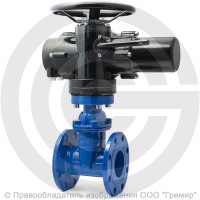 Задвижка чугунная фланцевая Ду-80 Ру-16 (Т<120°С) 30ч939р Китай с электроприводом Benarmo-А.70/24 (380 В) Задвижка чугунная фланцевая Ду-80 Ру-16 (Т<120°С) 30ч939р Китай с электроприводом Benarmo-А.70/24 (380 В)