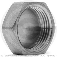 Заглушка латунная ВР (ВН") Ду-25 (1") никель LD