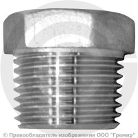 Заглушка нержавеющая AISI 304 6-ти гранная НР (НАР) Ду-8 (1/4") Заглушка нержавеющая AISI 304 6-ти гранная НР (НАР) Ду-8 (1/4")
