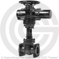 Задвижка чугунная фланцевая Ду-80 Ру-10/16 (Т<225°С) 30ч906бр ЛМЗ с электроприводом Benarmo-А.100/24 (380 В) Задвижка чугунная фланцевая Ду-80 Ру-10/16 (Т<225°С) 30ч906бр ЛМЗ с электроприводом Benarmo-А.100/24 (380 В)